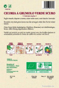Cicoria a Grumolo Verde Scuro Chicory organic seeds - 2024