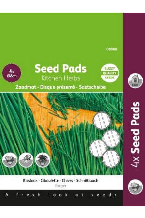 Bieslook Seedpads - 2024