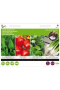 Fresh Salad Seedmat 4 x 20x20cm - 2024