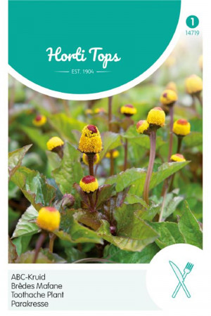 Toothache Plant Spilanthes...