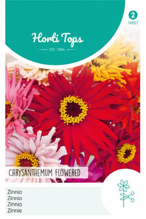 Chrysanthemum-flowered...