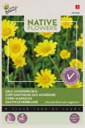 Native flowers Corn Marigold seeds