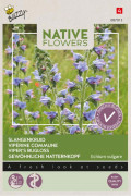 Native flowers Viper’s Bugloss seeds