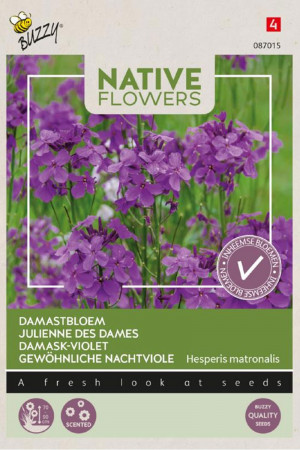 Native flowers Damask Violet seeds
