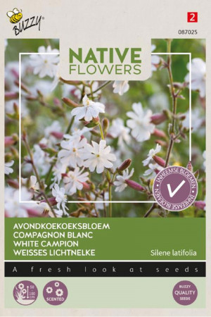 Native flowers White Campion seeds