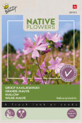 Native flowers High Mallow seeds