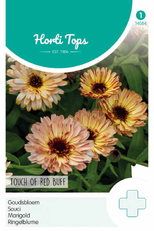 Touch Of Red Buff Calendula seeds