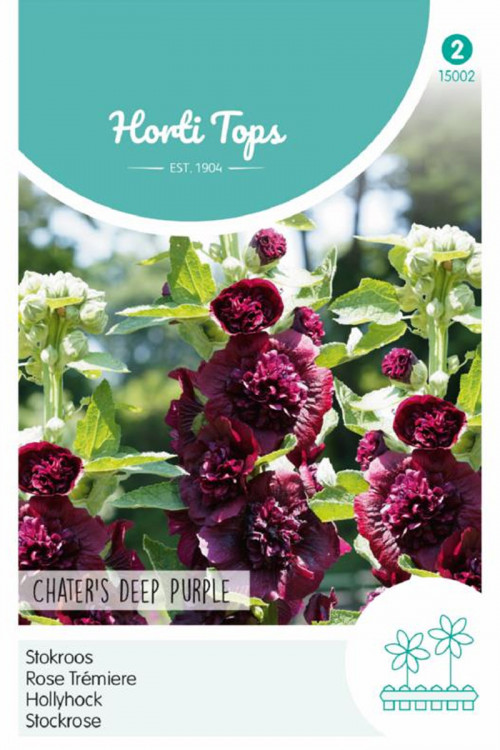 Althaea Chater's Deep Purple - Hollyhock seeds