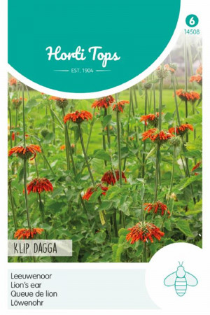 Klip Dagga Lion’s Ear - Leonotis seeds
