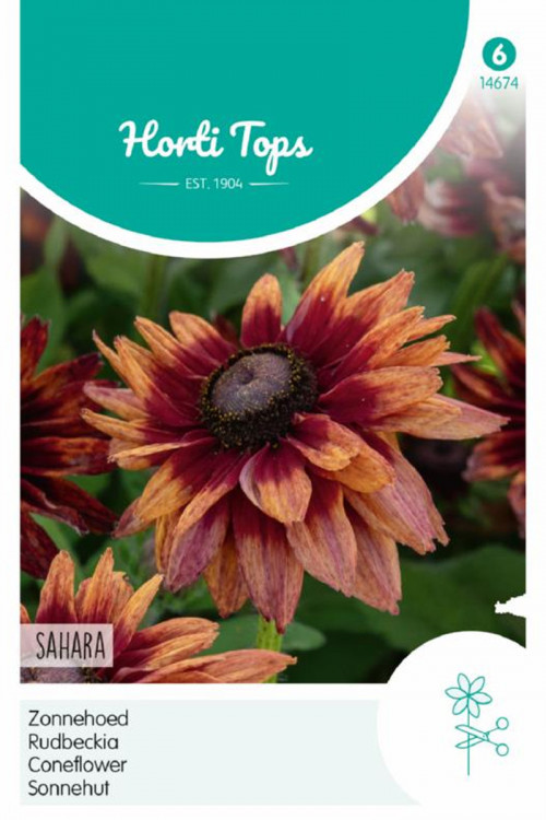 Sahara Coneflower - Rudbeckia seeds