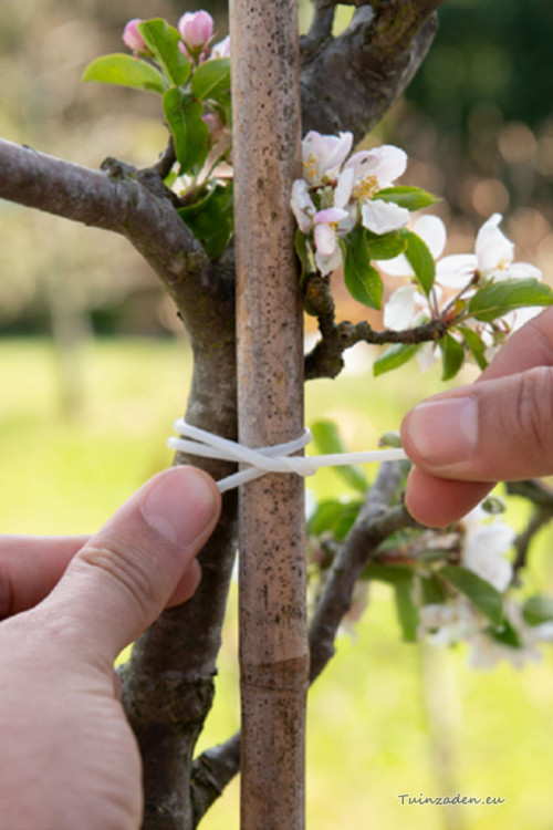 Biodegradable Binding Tube 10m SOGO - Garden wire plant clips ...