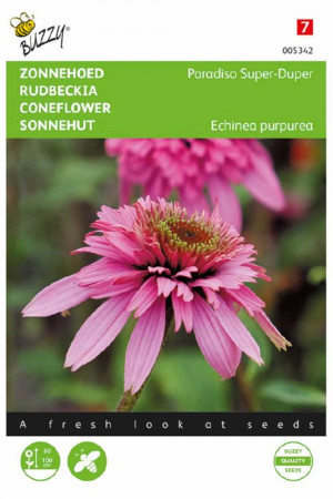 Paradiso Super-Duper Cornflower Echinacea seeds