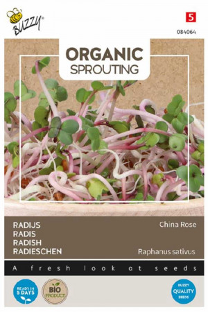 China Rose Radijs - Organic Sprouting biologische zaden