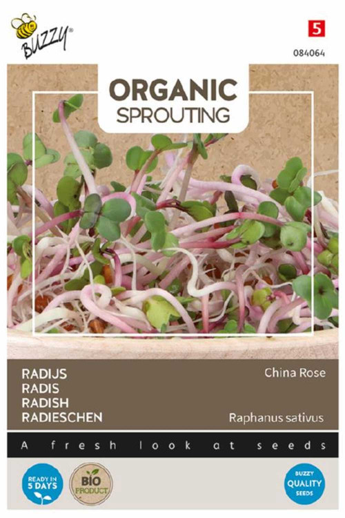 Radish China Rose Organic Sprouting seeds
