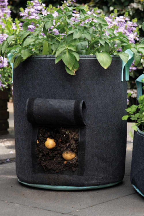 Potato Grow bag  55 liter SOGO