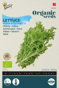 Bionda a foglia riccia Lettuce Organic seeds