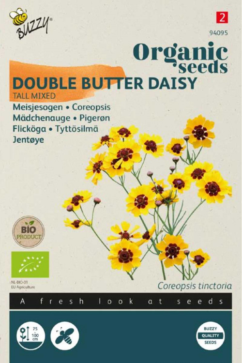 Tall Double butter Daisy Coreopsis Organic seeds