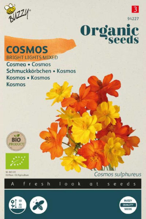 Bright Lights Cosmea Organic seeds