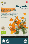 Aurantiaca Eschscholzia Organic seeds