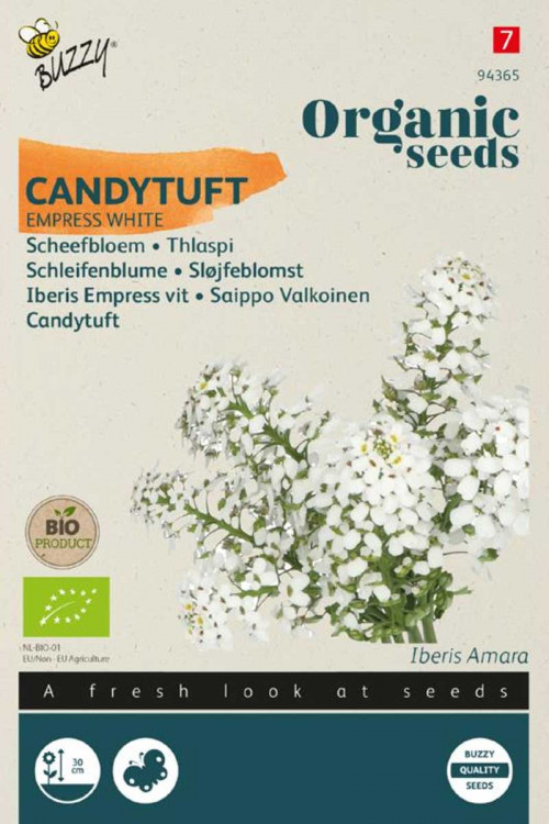 Empress Candytuft Iberis Organic seeds