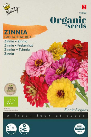 Dahlia flowered Zinnia...