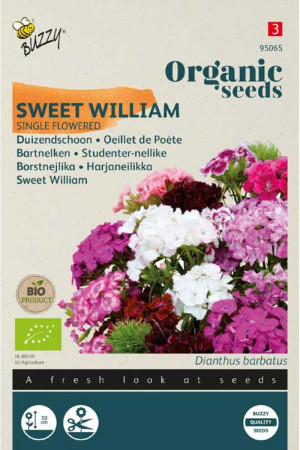 Sweet William Dianthus Organic Seeds