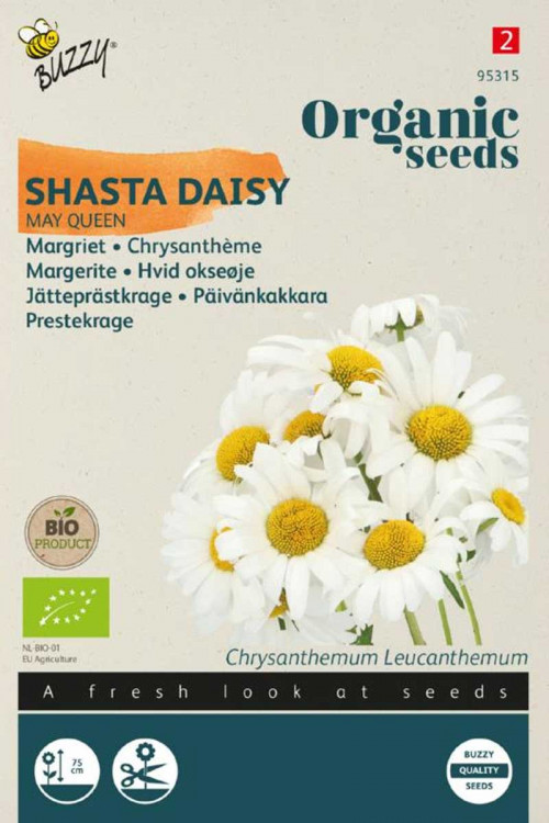 Shasta daisy Chrysanthemum Organic Seeds