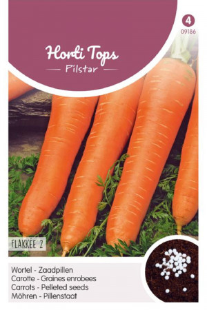 Winter carrot Flakkee 2 -...
