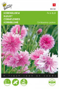Pink Ball Centaurea Cornflower seeds