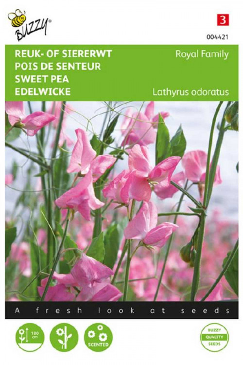 Royal Family Pink Sweet pea Lathyrus seeds