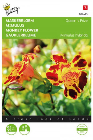 Queens Prize Monkey flower...