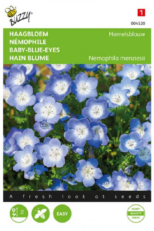Hemels Blauw Haagbloem Nemophila zaden