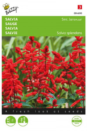 St. Jansvuur Vuursalie Salvia splendens zaden