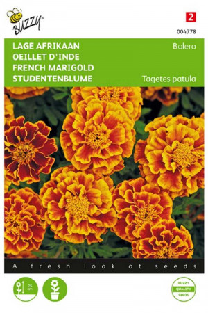 Bolero French Marigold Tagetes seeds
