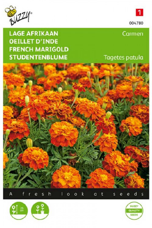 Carmen French Marigold Tagetes seeds