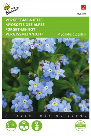 Blue Ball - Forget-me-not seeds