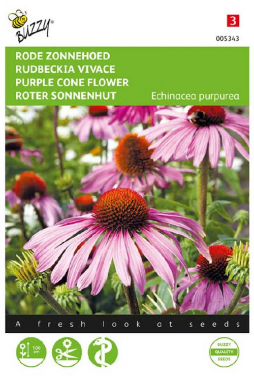 Purple Coneflower Echinacea seeds