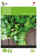 Coriander seeds - Chinese Parsley seeds