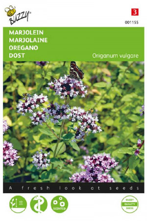 Oregano seeds - Wild...