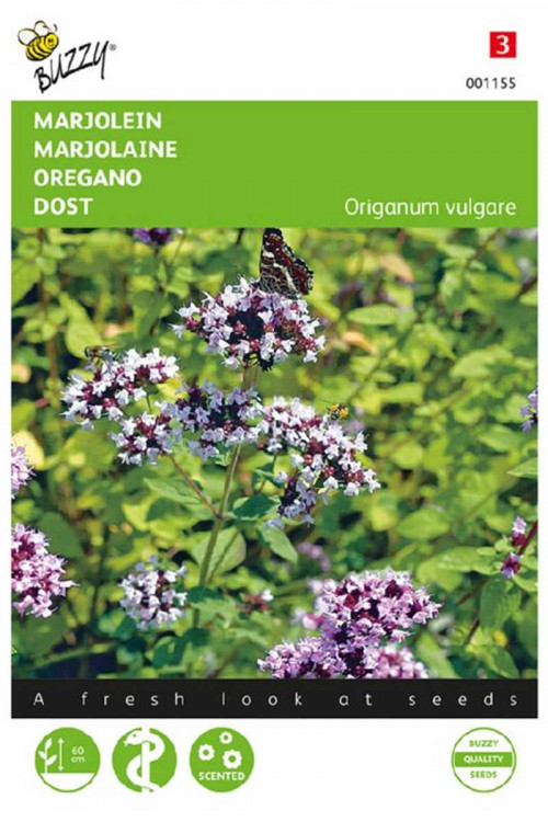 Oregano seeds - Wild Marjoram seeds