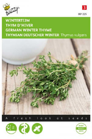 Winter Thyme seeds