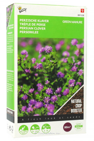 Persian Clover 80m2 green manure