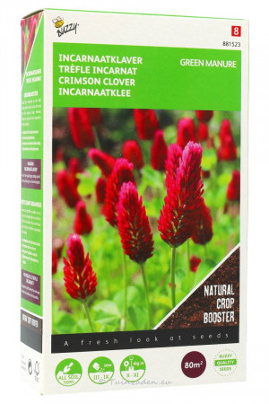 Crimson Clover 80m2 green manure