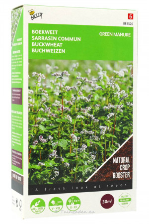 Buckwheat seeds 30m2 green manure