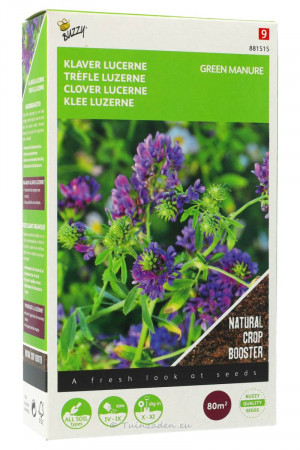 Luzerne Clover 80m2 green manure