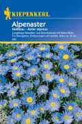 Light blue Alpenaster seeds