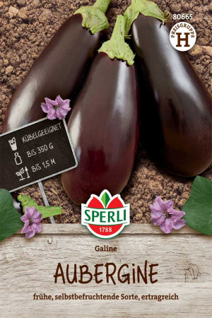 Galine F1 eggplant seeds