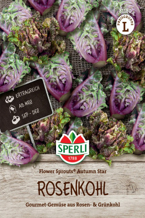 Autumn Star F1 Kale Brussels Sprout Seeds