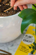Plant power nutritional sticks 100% organic - ECOstyle