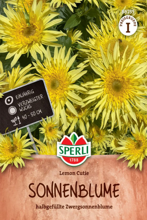 Lemon Cutie sunflower seeds